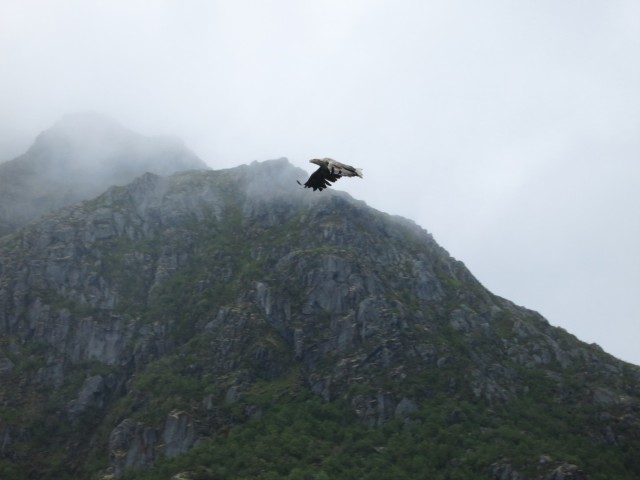 Hurtigruten_2015-06-25_16-41